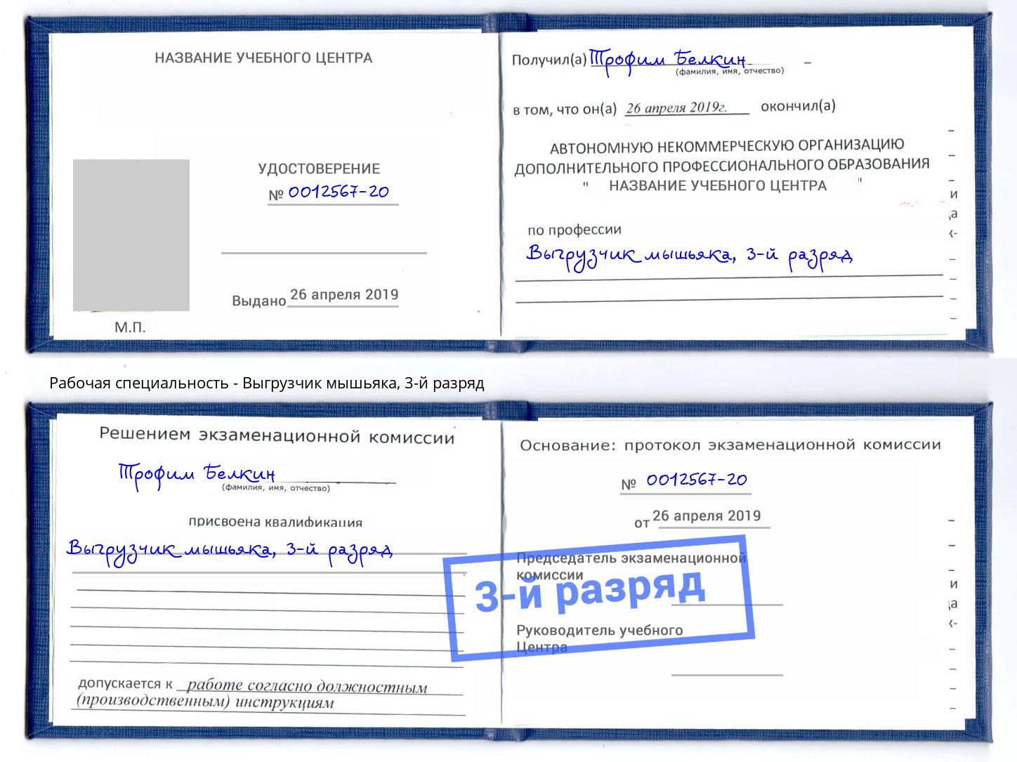 корочка 3-й разряд Выгрузчик мышьяка Минусинск